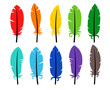 Set of colored bird feathers 