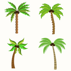 Palm trees