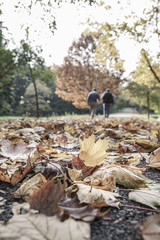 people walk in a park during autumn