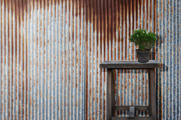 Wall Mural - Green ornamental plants, flowering white in old flower pot on wooden table with background is old rusty metal sheet texture.