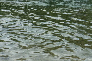 Wall Mural - vibrant river water close up