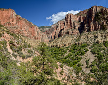 Panoramic View Of Roaring Springs Canyon From North Kaibab Trail
North Rim, Grand Canyon National Park, Arizona, USA 