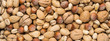 Mixed Nuts Panorama