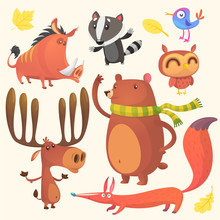 Collection Of Cartoon Forest Animals Images. Vector Set Of Animal Icons Isolated On White. Vector Illustration Of Boar, Badger, Blue Bird, Elk Moose, Bear, Owl And Fox