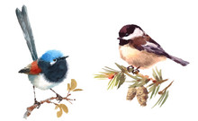 Fairy Wren And Chickadee Two Birds Watercolor Hand Painted Illustration Set Isolated On White Background