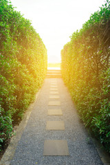 Aufkleber - Marble walkway Two sides of the tree