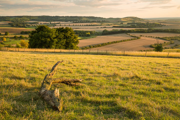 Chiltern hills