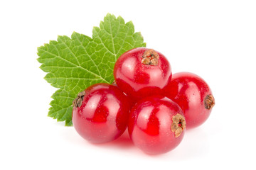 Red currant berries with leaf isolated on white background