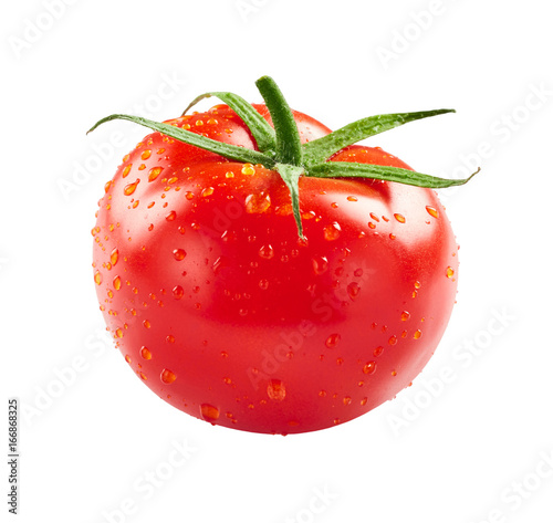 Plakat Pomidor z kroplami wody