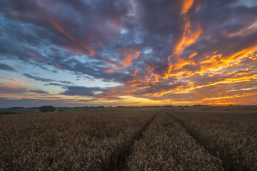 Wall Mural - fiery sunset, colorful clouds in the sky