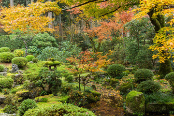 Canvas Print - Beautiful Japanese garden in autumn