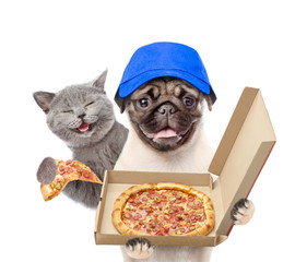 Poster - Funny happy cat and pizza dealer puppy with open boxes. isolated on white background