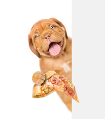 Poster - Funny puppy with pizza above white banner. isolated on white background