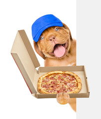 Poster - Pizza dealer puppy with open pizza boxes above white banner. isolated on white background