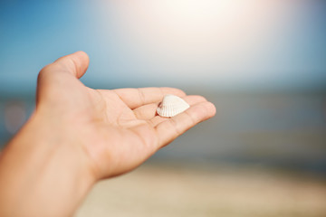 Woman`s hand holding sea shell on sea background. Young woman holding little sea shell in hand against beautiful marine background. Summer vacation concept