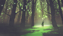 Fantasy Scene Of Alone Man With Torch Standing In Fairy Tale Forest,digital Art Style, Illustration Painting