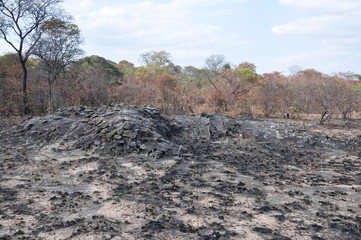 The African landscape. Zimbabwe.