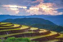 Terrace Rice Field Over The Mountain Range And Beautiful Twilight Sunset, Light Shining Through Mountain