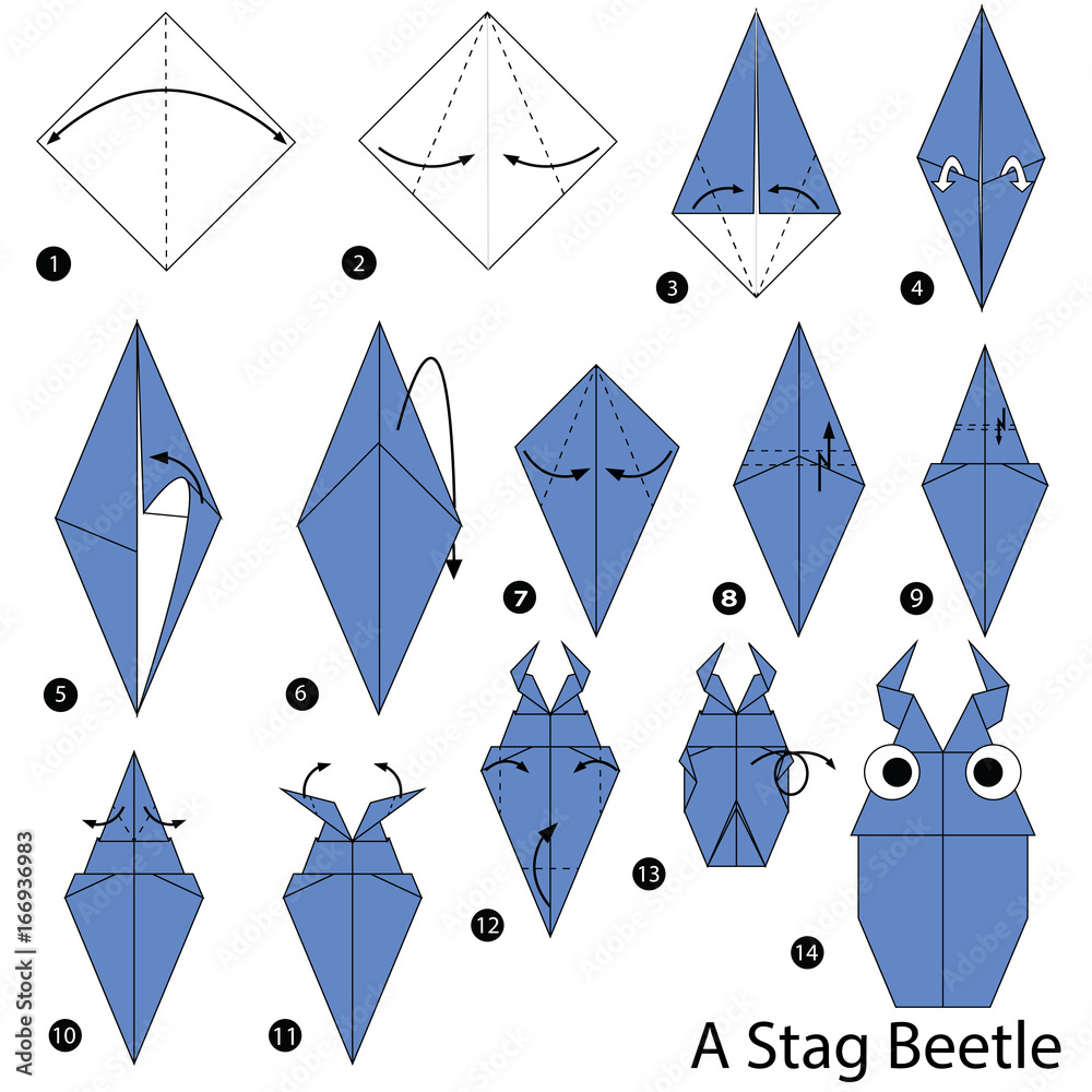 step by step instructions how to make origami A Stag Beetle Stock ...