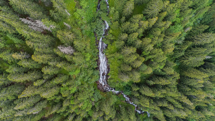 Wall Mural - waterfall tumultuous (cascada zbuciumata). fagaras mountains, romania