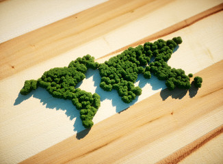 Wall Mural - world map forest concept. 3d illustration.