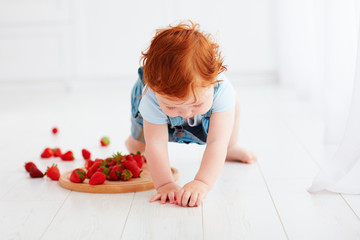 Wall Mural - cute ginger toddler baby tasting strawberries