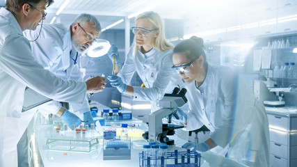 Team of Medical Research Scientists Work on a New Generation Disease Cure. They use Microscope, Test Tubes, Micropipette and Writing Down Analysis Results. Laboratory Looks Busy, Bright and Modern.