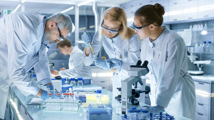 Wall Mural - team of medical research scientists work on a new generation disease cure. they use microscope, test