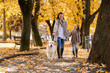 Family woman and her daughter walk autumn park,with his dog golden retriever