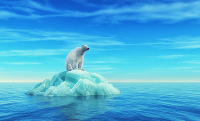 Wall Mural - a polar bear