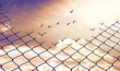Chainlink fence with Hole against a Cloudy Blue Sky and Birds, Fight for Better Life concept,Think out of the box concept