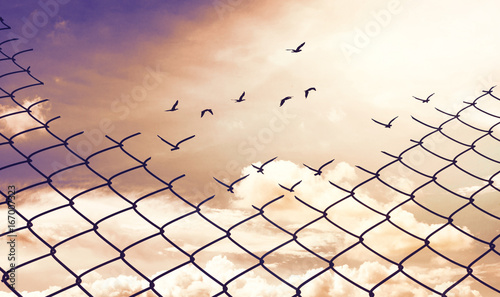 Chainlink fence with Hole against a Cloudy Blue Sky and Birds, Fight for Better Life concept,Think out of the box concept