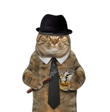 The Cat Gentleman Is Holding A Cigar And A Glass Of Whiskey. White Background.