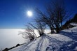 Traumhafte Winterlandschaft über den Wolken