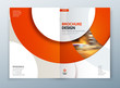 © great_bergens - Brochure template layout design. Corporate business annual report, catalog, magazine, flyer mockup. Creative modern bright concept circle round shape