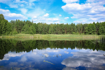 Forest lake and cloudy blue sky.