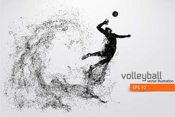 Wall Mural - Silhouette of volleyball player.