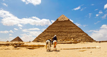 Horse Riding At The Pyramids