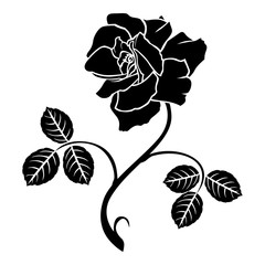 Wall Mural - Decorative rose flower