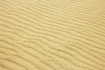  Sand Texture./ Sand Texture.
