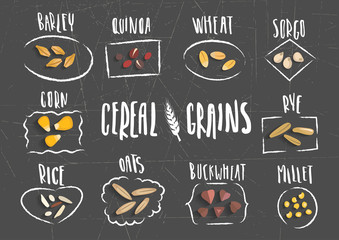 Vector set of cereal emblems with white handwritten lettering and hand-drawn stylized grains on black background. For packing groats, advertising healthy food.