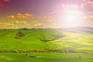 Canvas Print - Fields, pastures and farmhouse at sunrise