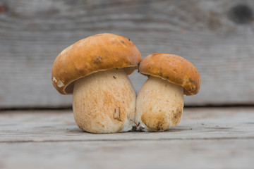 Wall Mural - Mushroom boletus cut on a wooden board background