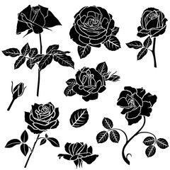 Canvas Print - Decorative rose flower set