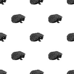 Wall Mural - Hedgehog.Animals single icon in black style vector symbol stock illustration web.