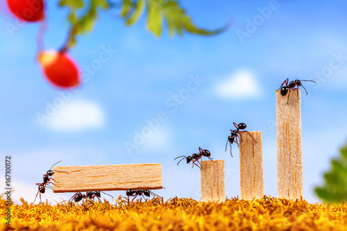 Fotografía Ants carrying wood for business graph, teamwork concept