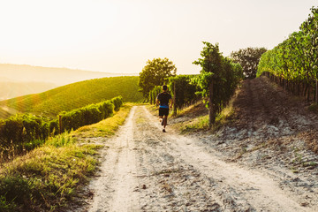 Wall Mural - man trail running in the vineyards at the sunset