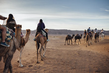 Tourists Riding On Camels At Desert Against Sky