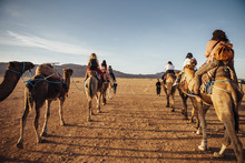 Rear View Of Tourists Riding On Camels At Desert Against Sky