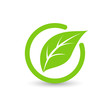 Green leaf, Eco sign, icon, symbol. Vector illustration